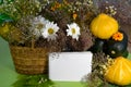 Autumn still life with vegetables, a basket of flowers and a Rowan tree. A horizontal banner with a text field. The harvest of Royalty Free Stock Photo