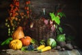 Autumn still life with vegetables, grapes and Chinese Lantern plants in rustic style Royalty Free Stock Photo