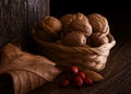 Autumn Still Life with Walnut, Leaf and Rosehip. Royalty Free Stock Photo