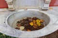 Autumn still life with wash basin