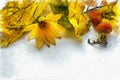 Autumn still life, watercolor. Yellow flower, dry leaves, hips of wild rose on white background Royalty Free Stock Photo