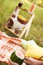 Autumn still life. Watermelon. Picnic. Cozy place. Pillow Royalty Free Stock Photo