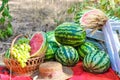Autumn still life. watermelon fruit picnic Royalty Free Stock Photo