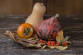 Autumn still lifes with pumpkins and persimmon Royalty Free Stock Photo