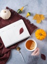 Autumn stillife. cup of tea in hand, daily planner, plaid and some decorative pumpkins and leaves on blue background Royalty Free Stock Photo