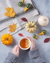 Autumn stillife. cup of tea in hand and some decorative pumpkins and leaves on blue background Royalty Free Stock Photo