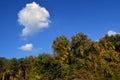 Autumn story paintings on the banks of the Danube River 1 Royalty Free Stock Photo