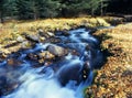 Autumn stream Royalty Free Stock Photo