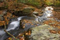Autumn Stream Royalty Free Stock Photo