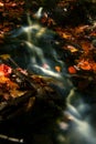 Autumn Stream Royalty Free Stock Photo