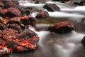 Autumn Stream Royalty Free Stock Photo