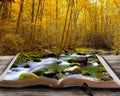 Autumn stream with book.