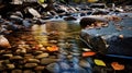 Autumn Stream: Captivating Canyon Photography With Fall Leaves And Rocks