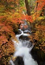 Autumn stream Royalty Free Stock Photo