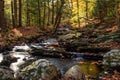 Autumn stream in Enders State Forest Royalty Free Stock Photo