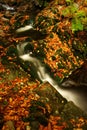 Autumn stream in Giant mountains