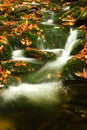 Autumn stream in Giant mountains