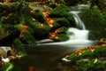 Autumn stream in Giant mountains