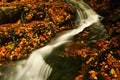 Autumn stream in Giant mountains Royalty Free Stock Photo