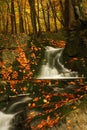 Autumn stream in Giant mountains