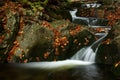 Autumn stream in Giant mountains Royalty Free Stock Photo