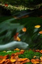 Autumn stream in Giant mountains Royalty Free Stock Photo