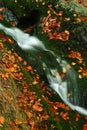 Autumn stream in Giant mountains Royalty Free Stock Photo