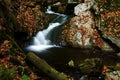 Autumn stream in Giant mountains Royalty Free Stock Photo