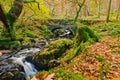 Autumn Stream Royalty Free Stock Photo