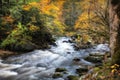 Autumn Stream with mossy rocks Royalty Free Stock Photo