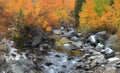 Autumn stream at North lake California Royalty Free Stock Photo