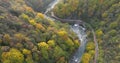 Golden forest and streams in the autumn