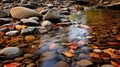 Autumn Stream: A Serene And Tranquil Nature-inspired Photo