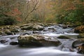 Autumn Stream in the Smokies