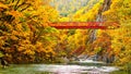 Autumn Stream Royalty Free Stock Photo