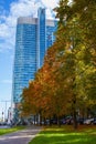 Autumn street in the city