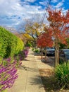 Autumn street in San Jose city