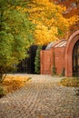 autumn street in the town