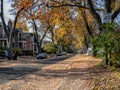 Autumn street view