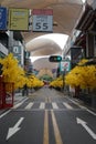 autumn street view photo shotting Royalty Free Stock Photo