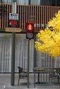 autumn street view photo shotting Royalty Free Stock Photo