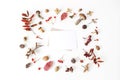 Autumn styled botanical arrangement. Blank card mockup scene. Composition of mushrooms, pine cones, beechnuts, colorful