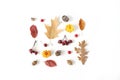 Autumn styled botanical arrangement. Composition of acorns, pine cones, colorful dried oak leaves, little apples and