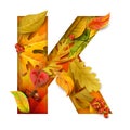 Autumn stylized alphabet with foliage. Letter K