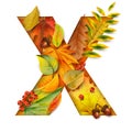 Autumn stylized alphabet with foliage. Letter X