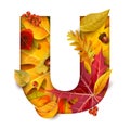 Autumn stylized alphabet. Letter U.