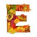 Autumn stylized alphabet. Letter E