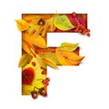 Autumn stylized alphabet. Letter F