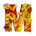 Autumn stylized alphabet. Letter M