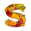 Autumn stylized alphabet. Letter S